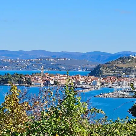 Laguna 08, 08a * Izola